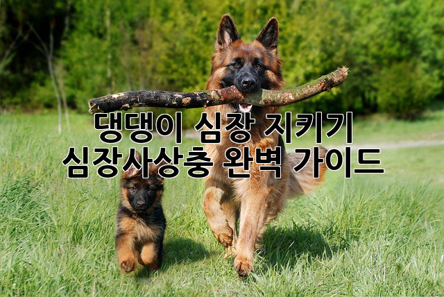 7b263aef9496a18bbb38fd772ded81fe.jpg