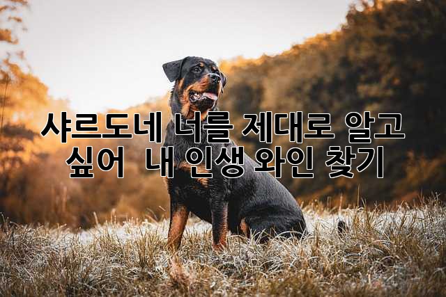 9f22840baee735492c7036000925b242.jpg