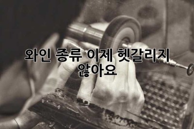와인 종류, 이제 헷갈리지 않아요!🍷