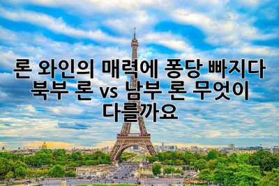 론 와인의 매력에 퐁당 빠지다! 북부 론 vs 남부 론, 무엇이 다를까요?