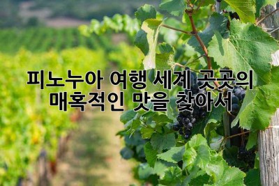 피노누아 여행: 세계 곳곳의 매혹적인 맛을 찾아서🍷