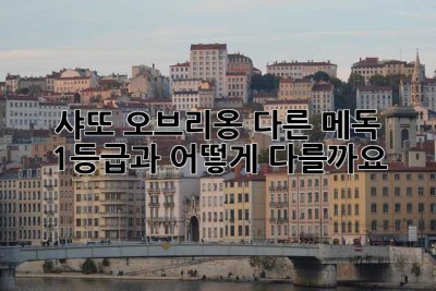 샤또 오브리옹, 다른 메독 1등급과 어떻게 다를까요? 🤔