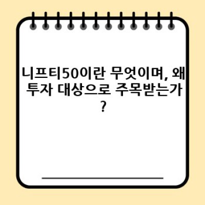 니프티50 투자 가이드: 2024년 최신 정보와 주요 리스크 분석