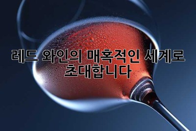 레드 와인의 매혹적인 세계로 초대합니다🍷