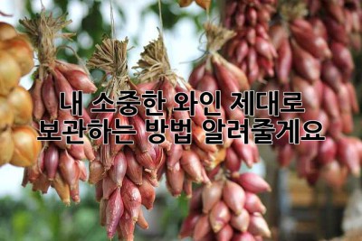 내 소중한 와인, 제대로 보관하는 방법 알려줄게요🍷