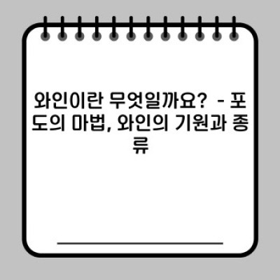 와인 완벽 가이드: 초보자부터 애호가까지, 모든 궁금증 해결!