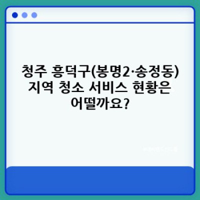 청주 흥덕구(봉명2·송정동) 정기 청소 서비스 완벽 가이드: 깨끗한 공간, 편리한 생활