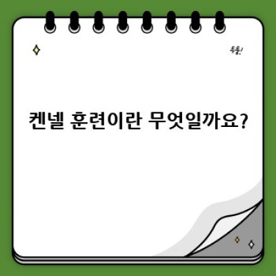 강아지 켄넬 훈련: 안전하고 행복한 공간 만들기 완벽 가이드