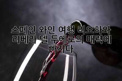 스페인 와인 여행: 리오하와 리베라 델 두에로의 매력에 빠지다🍷