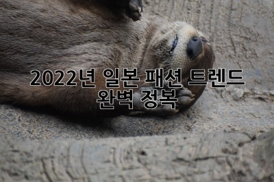2022년 일본 패션 트렌드 완벽 정복! ✨