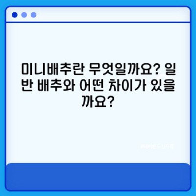 미니배추 완벽 가이드: 재배부터 요리까지, 알아두면 쓸모있는 모든 것!