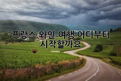 프랑스 와인 여행, 어디부터 시작할까요?🍷