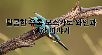 달콤한 유혹, 모스카토 와인과 건강 이야기🥂