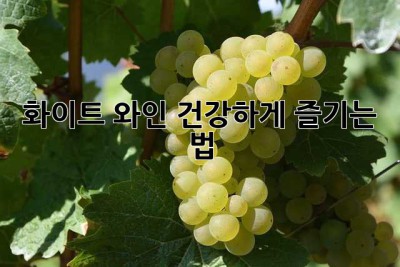 화이트 와인, 건강하게 즐기는 법🍷