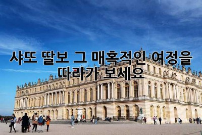 샤또 딸보, 그 매혹적인 여정을 따라가 보세요🍷