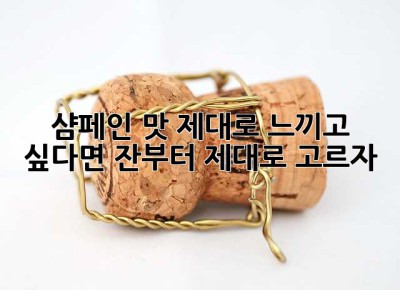 샴페인 맛, 제대로 느끼고 싶다면? 잔부터 제대로 고르자! ✨