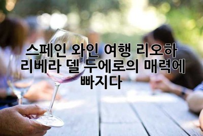 스페인 와인 여행: 리오하, 리베라 델 두에로의 매력에 빠지다!🍷