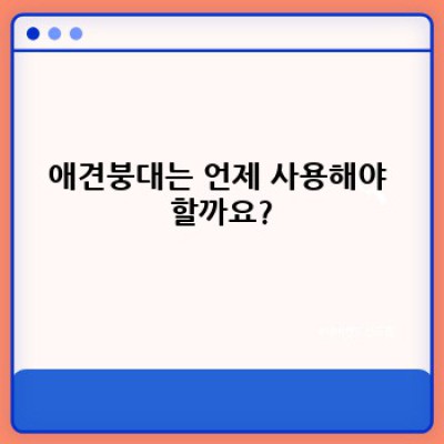 애견붕대 완벽 가이드: 종류, 사용법, 주의사항까지!