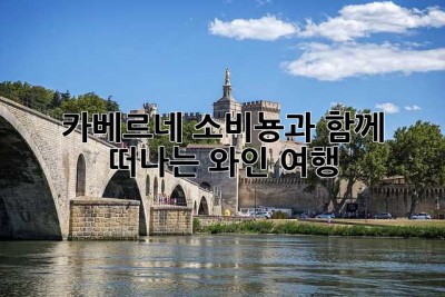 카베르네 소비뇽과 함께 떠나는 와인 여행🍷