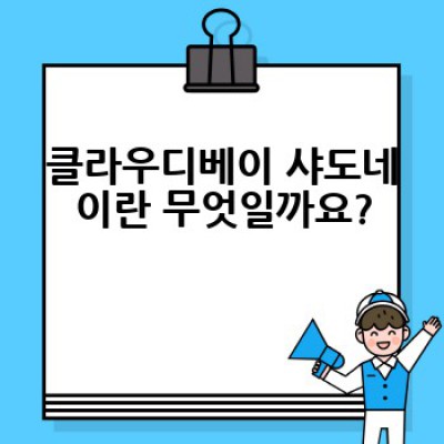 클라우디베이 샤도네이: 완벽한 한 잔을 위한 선택 가이드