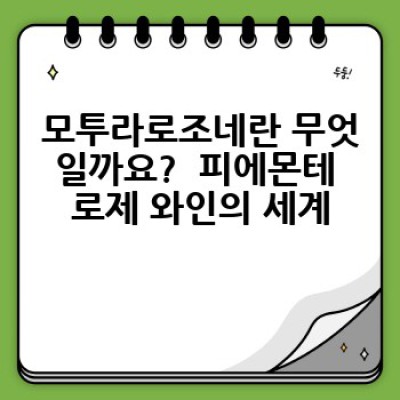 모투라로조네: 이탈리아 와인의 매력과 선택 가이드