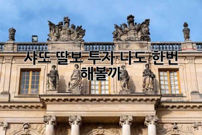 샤또 딸보 투자? 나도 한번 해볼까? 🤔