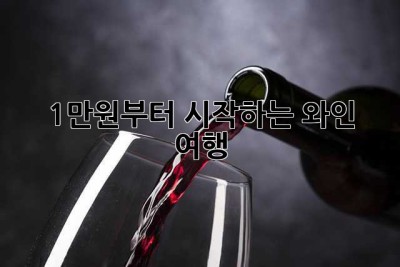 1만원부터 시작하는 와인 여행🍷