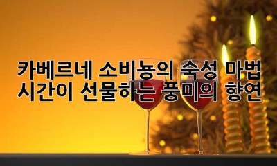 카베르네 소비뇽의 숙성 마법: 시간이 선물하는 풍미의 향연