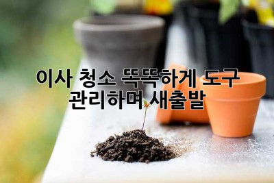 이사 청소, 똑똑하게 도구 관리하며 새출발!