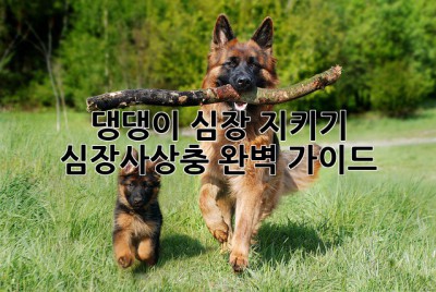 🐶 댕댕이 심장 지키기! 심장사상충 완벽 가이드 🛡️