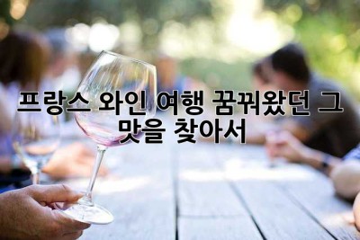 프랑스 와인 여행: 꿈꿔왔던 그 맛을 찾아서🍷