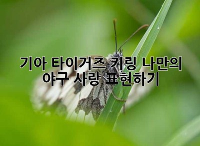 기아 타이거즈 키링: 나만의 야구 사랑 표현하기!