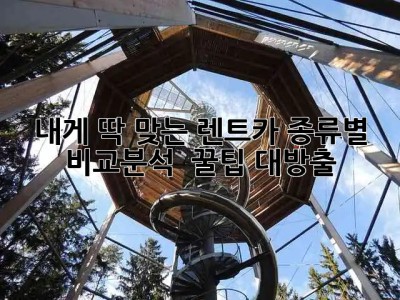 내게 딱 맞는 렌트카🚗 종류별 비교분석 & 꿀팁 대방출!