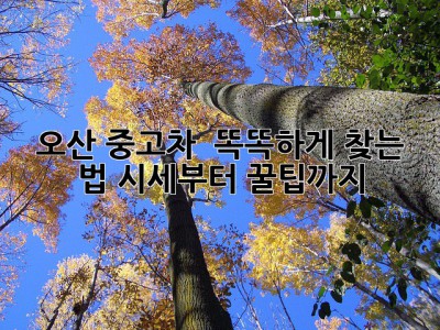 오산 중고차 🚗 똑똑하게 찾는 법! 시세부터 꿀팁까지 💯
