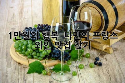 1만원의 행복! ✨ 나만의 프랑스 와인 맛집 찾기