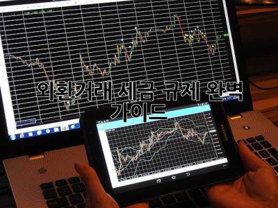 외환거래: 세금, 규제 완벽 가이드