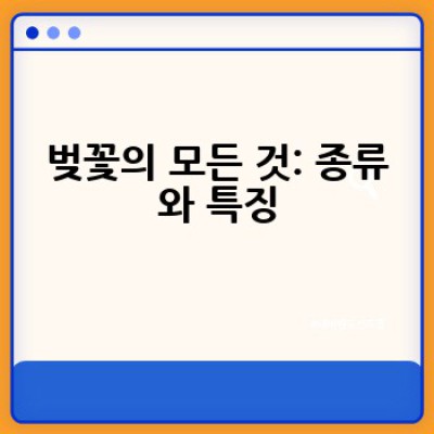 벚꽃 만개 시기부터 명소까지: 완벽한 벚꽃 감상 가이드