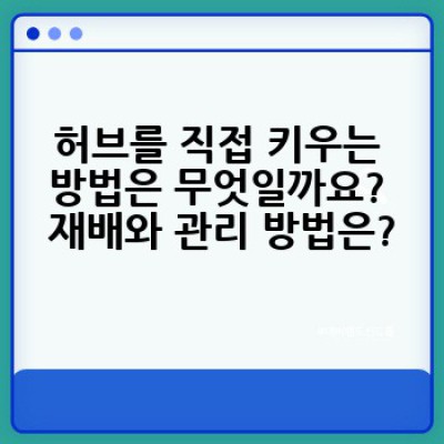 허브 완벽 가이드: 종류, 효능, 활용법 총정리
