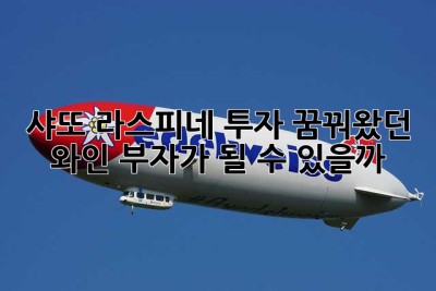 샤또 라스피네 투자? 꿈꿔왔던 와인 부자가 될 수 있을까? 🤔
