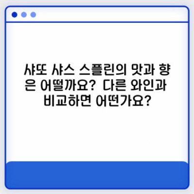 샤또샤스스플린 총정리: 가격, 맛, 다른 와인과의 비교, 구매 후기까지!