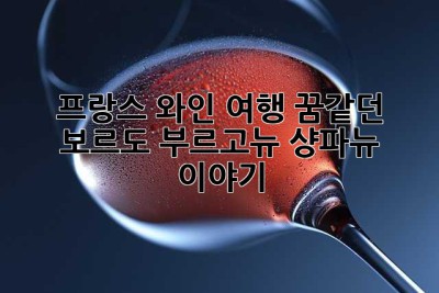 프랑스 와인 여행: 꿈같던 보르도, 부르고뉴, 샹파뉴 이야기🍷
