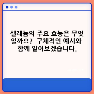 셀레늄 효능: 건강과 미용, 어떻게 활용해야 할까요?