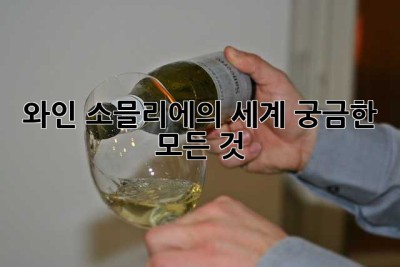 와인 소믈리에의 세계, 궁금한 모든 것!