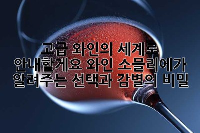 고급 와인의 세계로 안내할게요: 와인 소믈리에가 알려주는 선택과 감별의 비밀 ✨