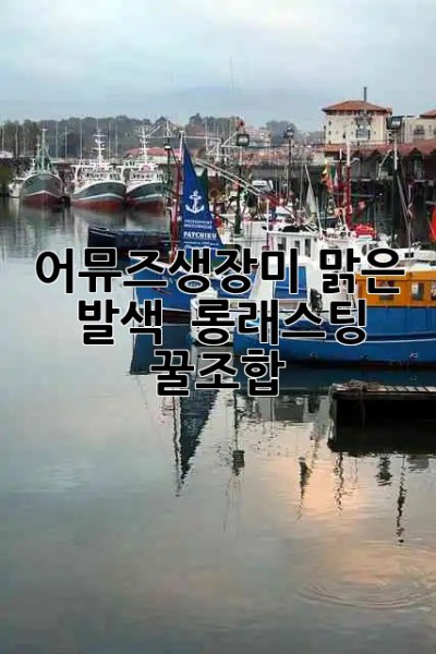 어뮤즈생장미🌹 맑은 발색 & 롱래스팅 꿀조합?