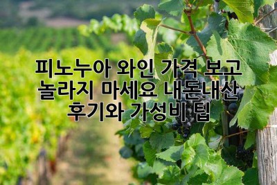 피노누아 와인, 가격 보고 놀라지 마세요! 내돈내산 후기와 가성비 팁