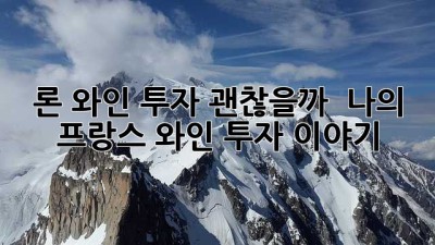 론 와인 투자, 괜찮을까? 🤔 나의 프랑스 와인 투자 이야기