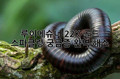 루이에슈너 22K 골드 스파클링: 궁금증 완벽 해소! ✨