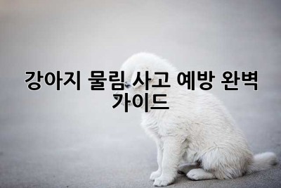 강아지 물림 사고 예방 완벽 가이드