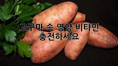 고구마 속 영양, 비타민 충전하세요!